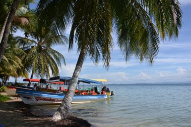 Ein ruhiger Strand mit Palmen, wo bunte Boote am Ufer liegen und das klare Wasser sanft plätschert.