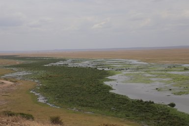Eine weite Landschaft mit einem schmalen Wasserlauf, umgeben von üppigem Grün und trockenen Flächen im Hintergrund.