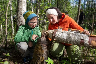 Ein Kind und eine Frau untersuchen gemeinsamen Bieberspuren an einem Baum