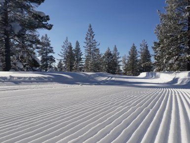Eine schneebedeckte Landschaft mit perfekt präparierten Langlaufspuren, umgeben von hohen, schneebedeckten Bäumen.