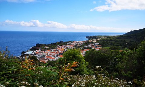 Ein malerischer Blick auf ein Küstendorf mit roten Dächern, umgeben von üppigem Grün und dem blauen Ozean im Hintergrund.