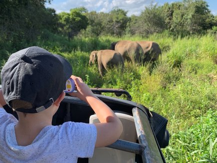 Kind fotografiert Elefanten während einer Safari im Minneriya Nationalpark – Sri Lanka Familienreise