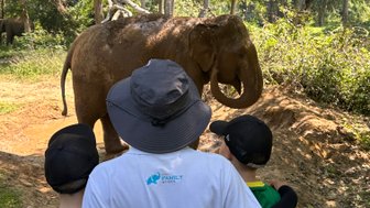 Mutter und zwei Jungen bestaunen Elefanten – Thailand Familienreise