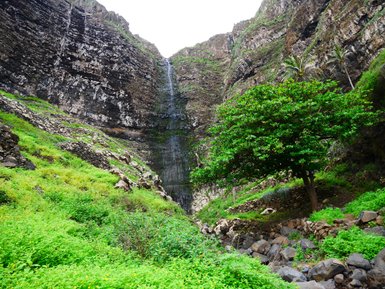 Ein üppiger grüner Hang mit einem großen Baum und einer Wasserfalllandschaft vor steilen, zerklüfteten Felsen.