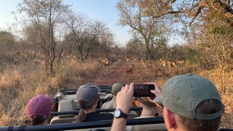 Familie mit Kindern im Safari-Jeep beobachtet eine Gruppe Antilopen in der Savanne – Südafrika Familienreise