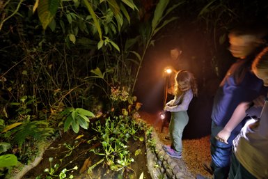 Gruppe auf Nachtwanderung mit Taschenlampen in La Tigra – Costa Rica mit Kindern