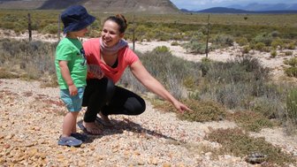 Eine Mutter zeigt auf eine Schildkröte und zeigt sie ihrem Sohn – Südafrika Reise mit Kindern