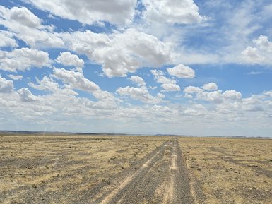 Eine weite, trockene Landschaft mit einem staubigen Weg, der in die Ferne führt, unter einem strahlend blauen Himmel.