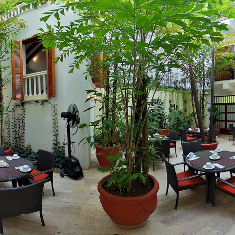 Ein einladender Innenhof mit Tischen und Stühlen, umgeben von üppigem Grün und Pflanzen, ideal für entspannte Mahlzeiten.