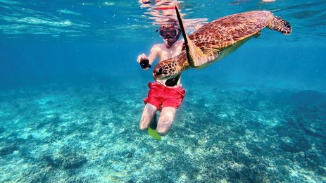 Junge entdeckt eine Meeresschildkröte unter Wasser im Oman – Oman Familienreise