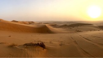 Eine weite Wüstenlandschaft mit sanften Sanddünen, die im warmen Licht der untergehenden Sonne leuchten.