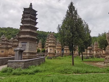 Eine weite Ansicht von Pagoden, umgeben von üppigem Grün und Bäumen, unter einem bewölkten Himmel.
