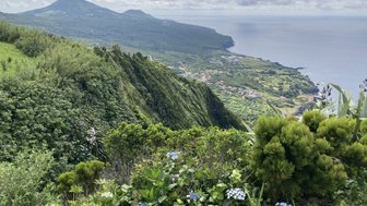 Eine atemberaubende Aussicht auf die Küste mit üppigem Grün und blühenden Pflanzen, die den Hang hinunterführt.