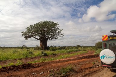 Ein majestätischer Baobab-Baum steht einsam in der weiten Savanne, umgeben von üppigem Grün und einem klaren Himmel.