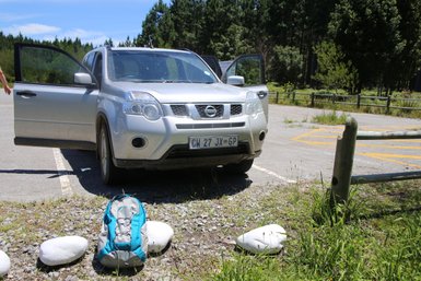 Mietwagen mit For Family Reisen Rucksack bei einer individuellen Rundreise – Südafrika Familienreise