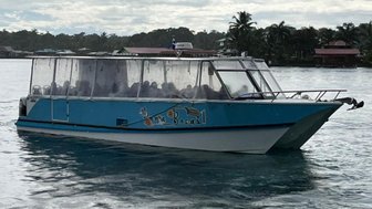 Ein blaues Boot mit transparenten Wänden fährt über das ruhige Wasser, umgeben von tropischen Bäumen und Häusern.