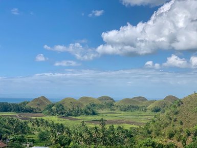 Die sanften Hügel der Chocolate Hills erstrecken sich unter einem strahlend blauen Himmel, umgeben von üppigem Grün.
