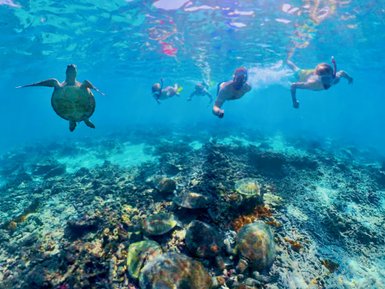 Familie schnorchelt unter Wasser bei den Daymaniyat Inseln – Oman mit Kindern