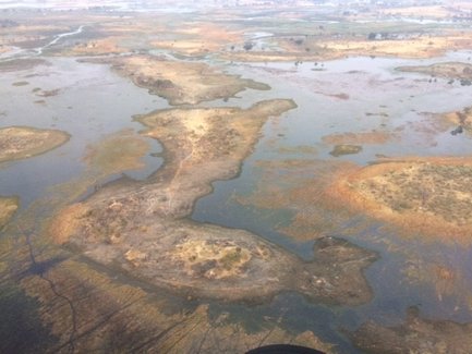 Eine weite Landschaft mit Wasserflächen und trockenen Erdwällen, die sich durch das Bild schlängeln und eine ruhige Atmosphäre schaffen.
