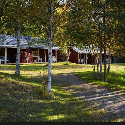Zwei rote Ferienhäuser stehen in einer ruhigen, bewaldeten Umgebung, umgeben von Bäumen und sanften Hügeln.