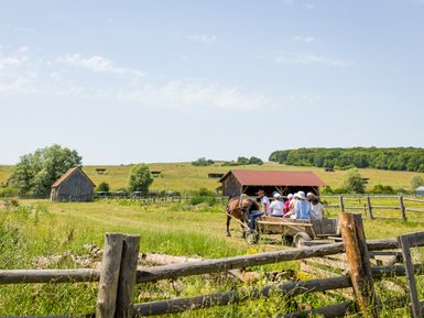 Eine Gruppe von Menschen sitzt auf einem Wagen, der von einem Pferd auf einer grünen Wiese gezogen wird, umgeben von ländlicher Idylle.