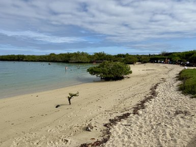 Ein ruhiger Strand mit feinem Sand, umgeben von Mangroven, während Menschen im Wasser schwimmen und sich entspannen.