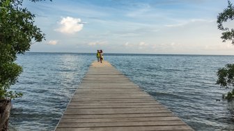 Zwei Personen gehen auf einem Holzsteg, umgeben von Wasser und Bäumen, unter einem klaren Himmel mit wenigen Wolken.