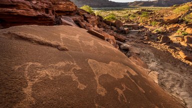 Mehrere Felszeichnungen zeigen unterschiedliche Tiere - Namibia Urlaub mit Kindern