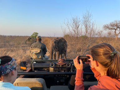 Eine Reisegruppe fotografiert einen Elefanten der durch die Savanne im Kruger Nationalpark schreitet – Südafrika Familienreise