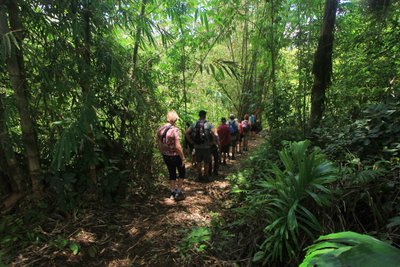Gruppe von Familien wandert durch den dichten Regenwald – Bali Familienreise