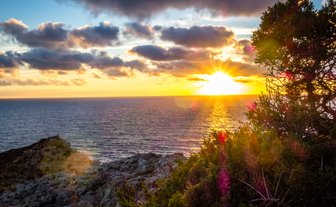 Ein atemberaubender Sonnenuntergang über dem ruhigen Meer, umgeben von dramatischen Wolken und einer grünen Pflanze im Vordergrund.