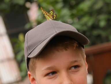 Bunte Schmetterlinge im Schmetterlingsgarten des Eco Centro Danaus – Costa Rica Familienurlaub