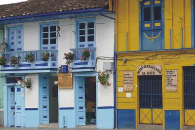Zwei farbenfrohe Gebäude mit blauen und gelben Fassaden, geschmückt mit blühenden Pflanzen in Töpfen.