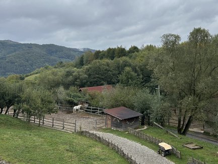 Eine weite Landschaft mit sanften Hügeln, einem Pferd im Stall und einem bewölkten Himmel über einem ruhigen Bauernhof.