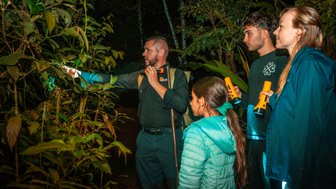Eine Gruppe von vier Personen erkundet den nächtlichen Dschungel mit Taschenlampen und beobachtet die Pflanzen um sie herum.