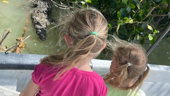 Kinder an Bord eines Bootes schauen auf ein Krokodil im Wasser des Rio Lagartos Naturreservats – Mexiko mit Kindern