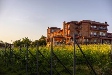 Ein malerisches Weingut mit einem charmanten, roten Backsteingebäude, umgeben von üppigen Weinreben im sanften Licht der Abenddämmerung.