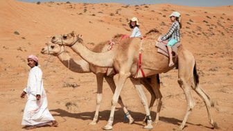 Kinder reiten gemeinsam mit einem Einheimischen auf Kamelen – Oman Reise mit Kindern