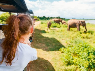 Kind beobachtet die Tierwelt aus dem Jeep im Udawalawe Nationalpark – Sri Lanka Familienreise