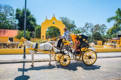 Ein Pferd zieht eine farbenfrohe Kutsche mit Sonnenblumen, während ein Fahrer und ein Passagier in der Sonne sitzen.