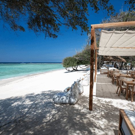 Ein einladendes Restaurant am Strand mit Holzstühlen und Tischen, umgeben von Palmen und klarem, türkisfarbenem Wasser.