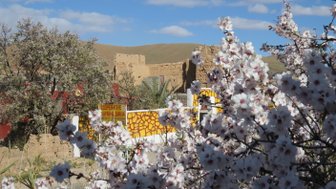 Bunte Blumen neben einer traditionellen Frauen-Kooperative in Marokko – Marokko Familienreise