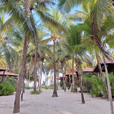 Eine malerische Strandlandschaft mit hohen Palmen, die sanft im Wind wiegen, umgeben von einem weißen Sandstrand.