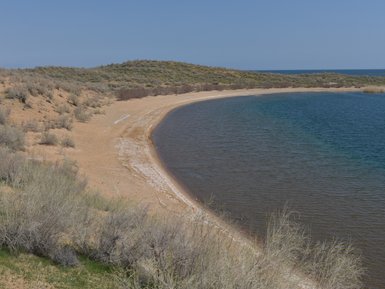 Eine sanfte Küstenlinie mit sandigem Strand und klarem Wasser, umgeben von sanften Hügeln und strauchbewachsenen Flächen.