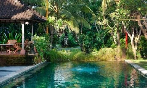 Ein ruhiger Pool umgeben von üppigem Grün und Palmen, ideal für Entspannung und Erholung in tropischer Umgebung.