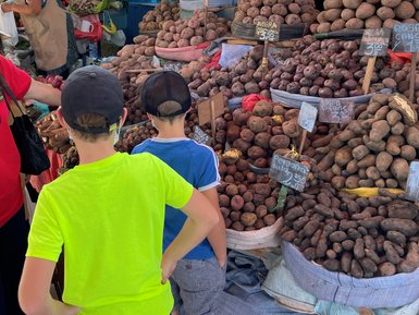 Eine Frau mit Sonnenhut und Maske steht an einem Marktstand, während zwei Kinder interessiert die Kartoffeln betrachten.