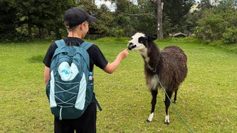 Ein Kind mit einem Rucksack füttert ein Lama auf einer grünen Wiese, umgeben von Bäumen und einem blauen Himmel.