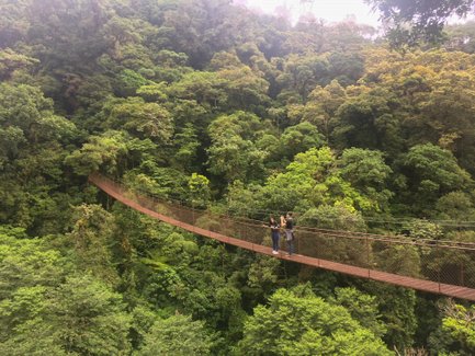 Zwei Personen stehen auf einer schwebenden Hängebrücke, umgeben von üppigem, grünem Regenwald und dichten Bäumen.