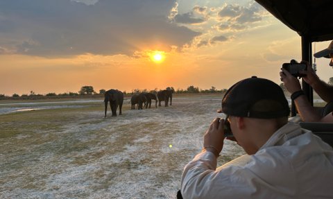 Eine Gruppe von Elefanten wandert majestätisch in der Abenddämmerung, während Touristen sie aus einem Jeep beobachten.