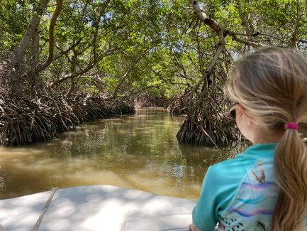 Mädchen genießt eine Bootstour durch das Mangrovengebiet von Celestún – Mexiko Familienreise
